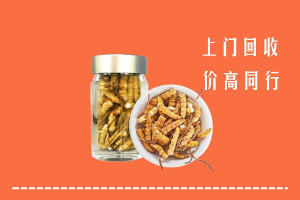 白河县回收冬虫夏草