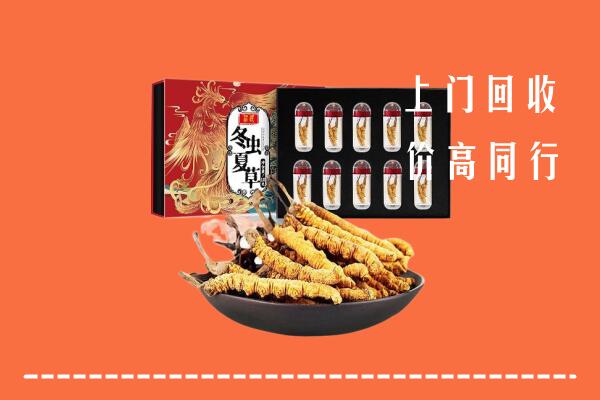 白河县回收虫草